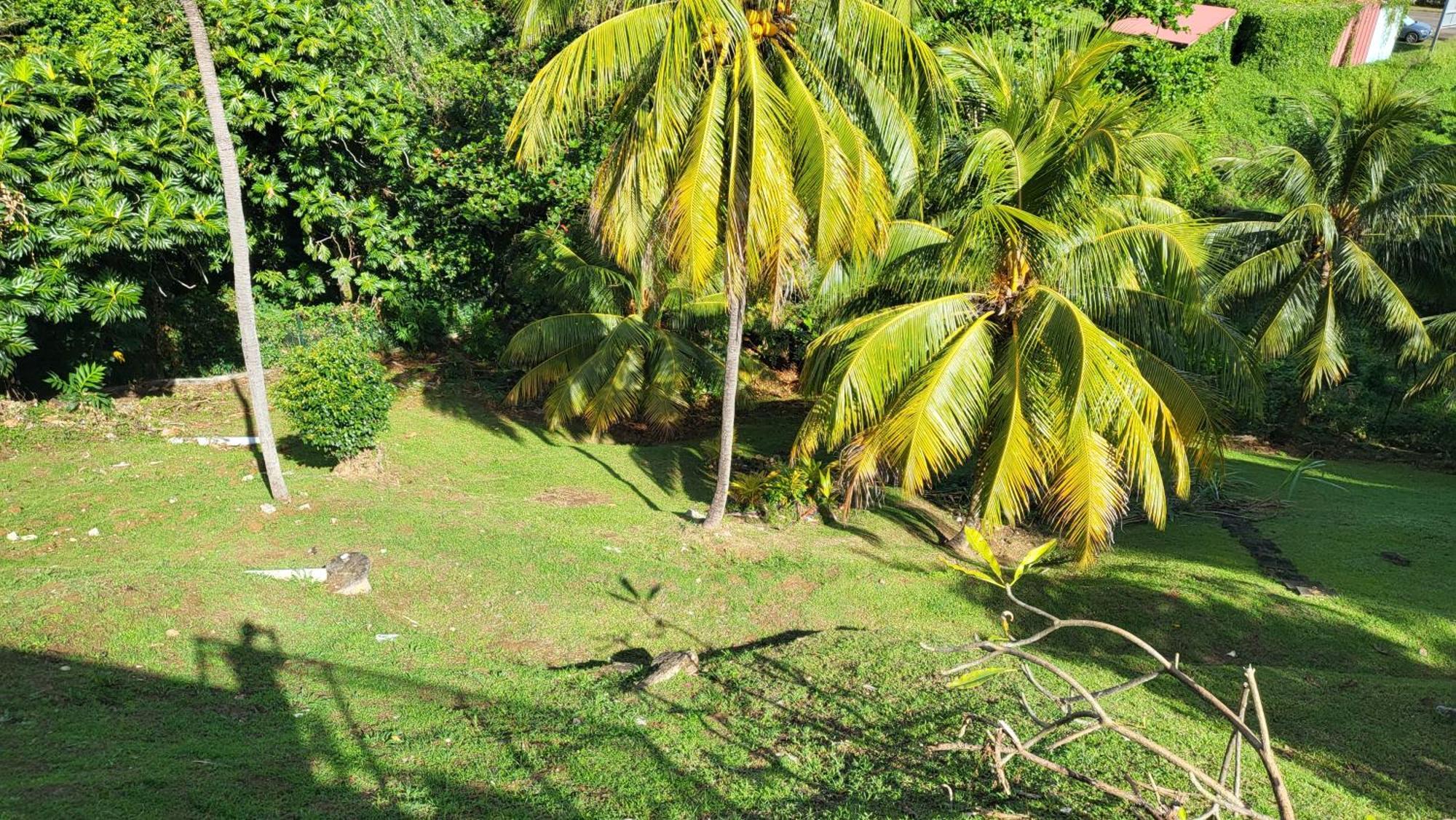 Le Caillou Villa La Trinité Buitenkant foto